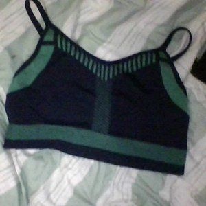 teal and dark blue sports bra
